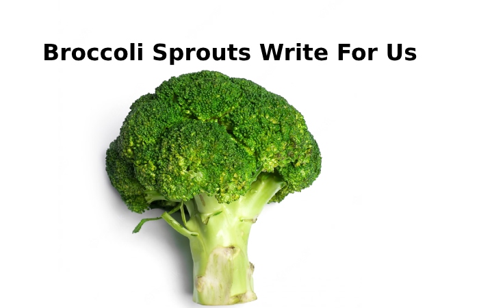 Broccoli Sprouts Write For Us