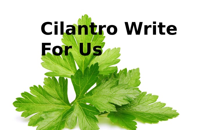 Cilantro Write For Us