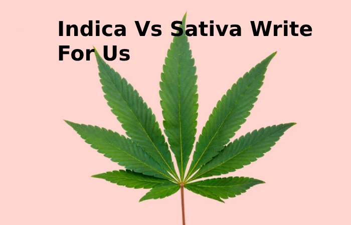 Indica Vs Sativa Write For Us