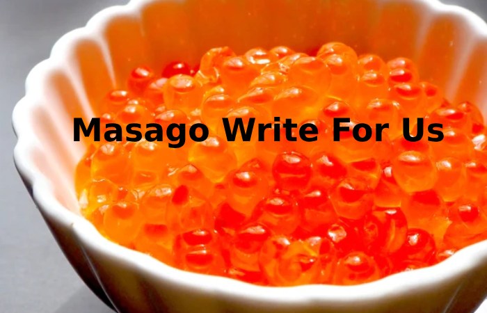 Masago Write For Us 