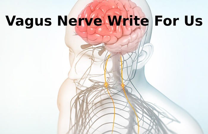 Vagus Nerve Write For Us 